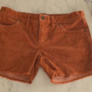 Carve Designs Women's Rust Corduroy Shorts